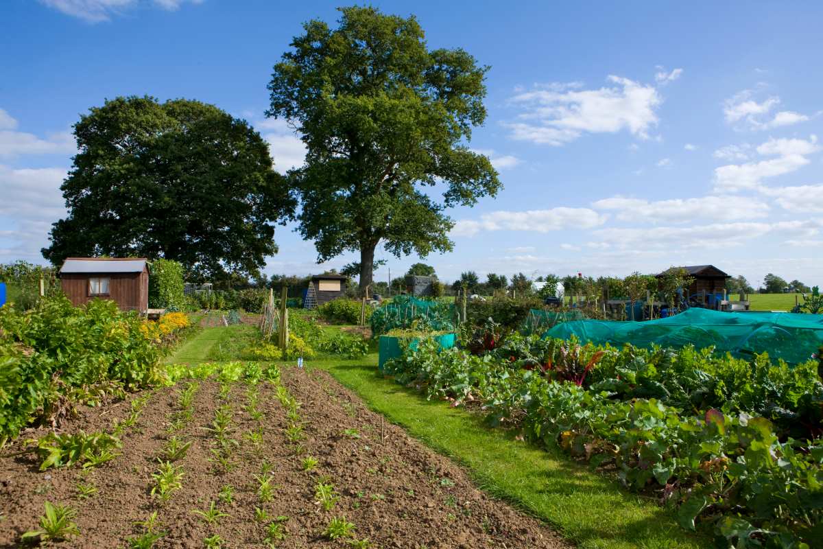 Gartengrundstück kaufen oder pachten im Main-Taunus-Kreis — 